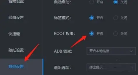 雷电模拟器 root
