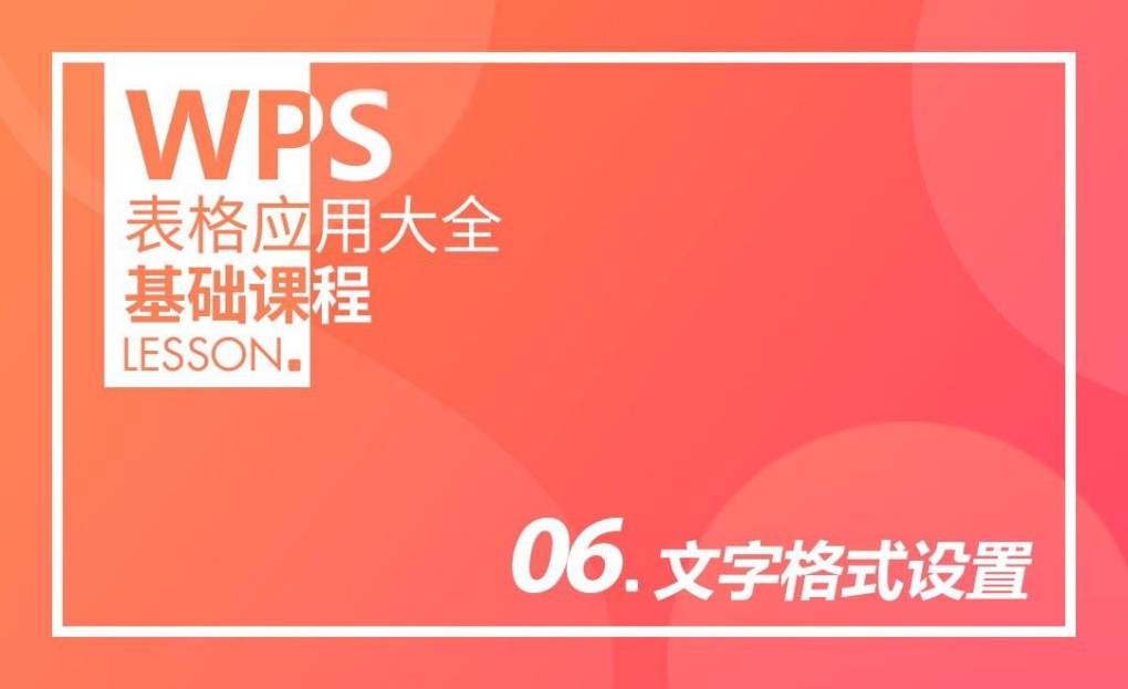 WPS 文本格式设置？