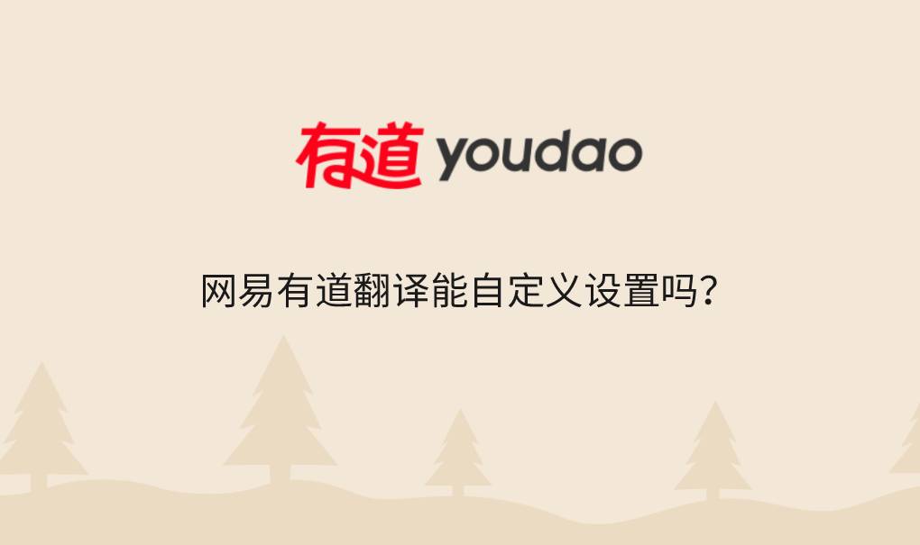 网易有道翻译能自定义设置吗?