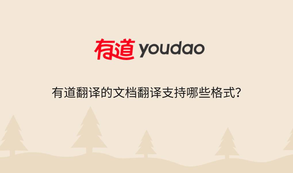 有道翻译的文档翻译支持哪些格式?