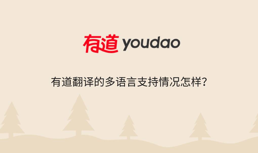 有道翻译的多语言支持情况怎样?