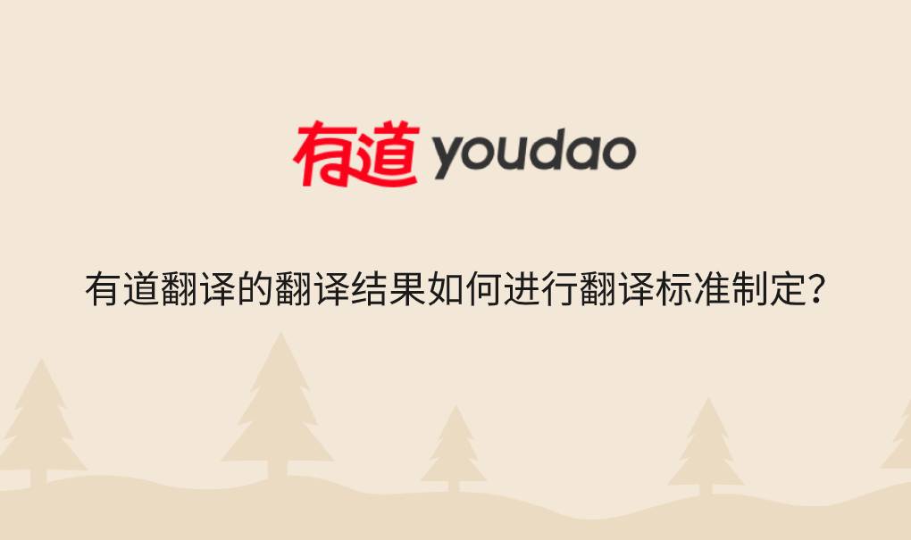 有道翻译的翻译结果如何进行翻译标准制定?