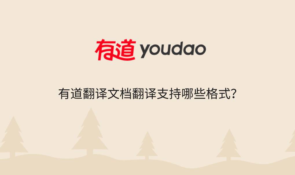 有道翻译文档翻译支持哪些格式?