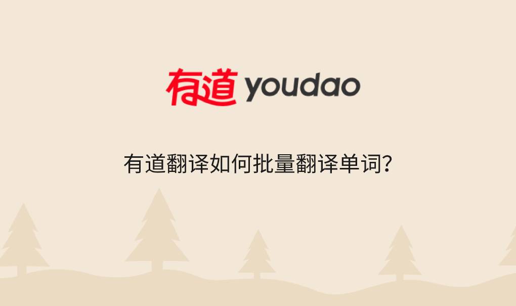 有道翻译如何批量翻译单词?