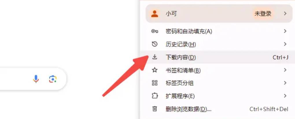 谷歌浏览器的下载记录在哪里查看和管理？