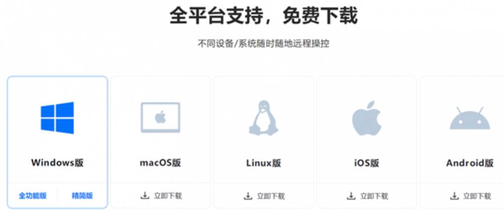 ToDesk 有哪些版本?