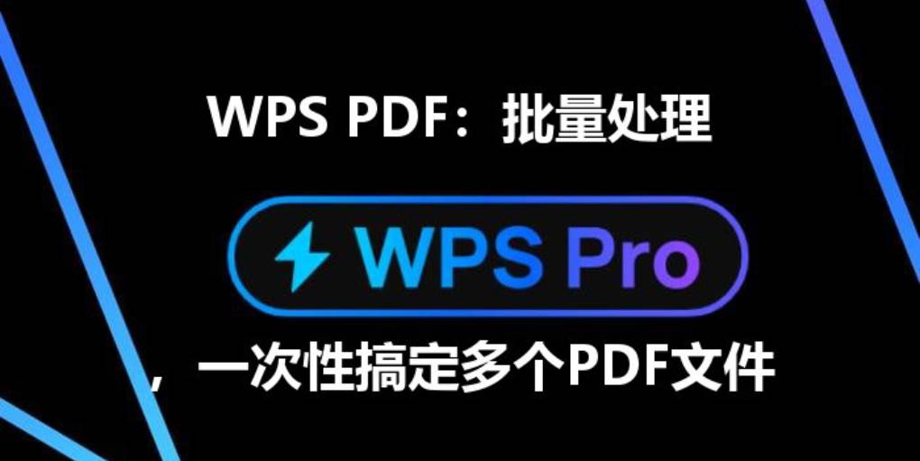 WPS 如何批量处理 PDF 文件？