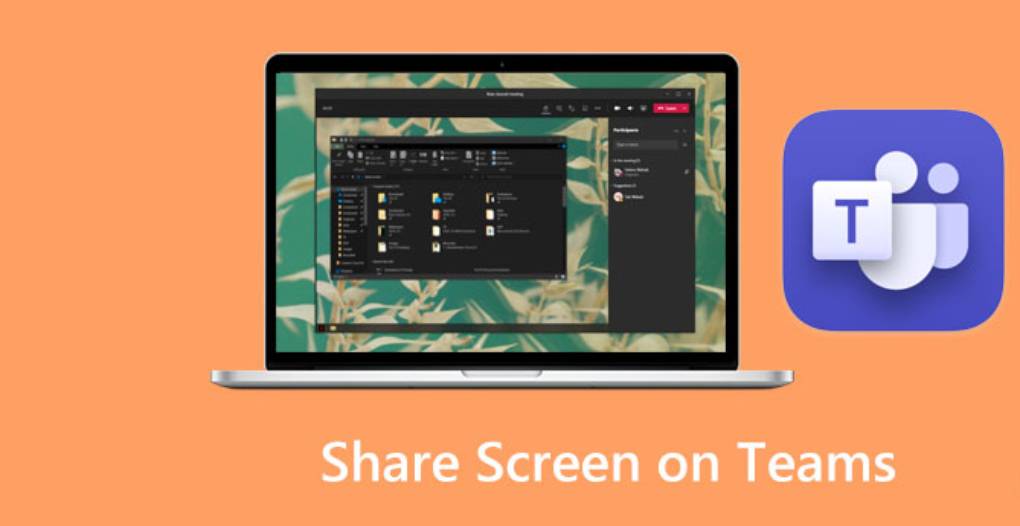 Teams 能共享屏幕吗？