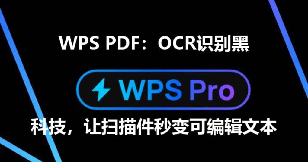 WPS 能否识别 PDF 中的扫描文字？