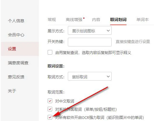 有道词典下载后如何切换词典模式？