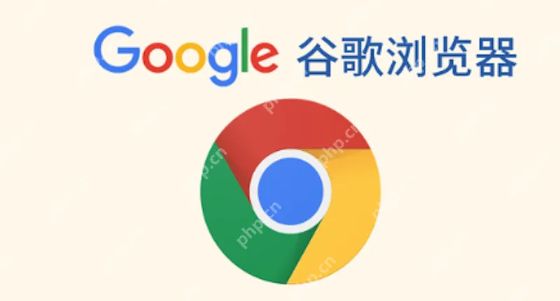 如果谷歌浏览器无法打开网页,该如何处理?