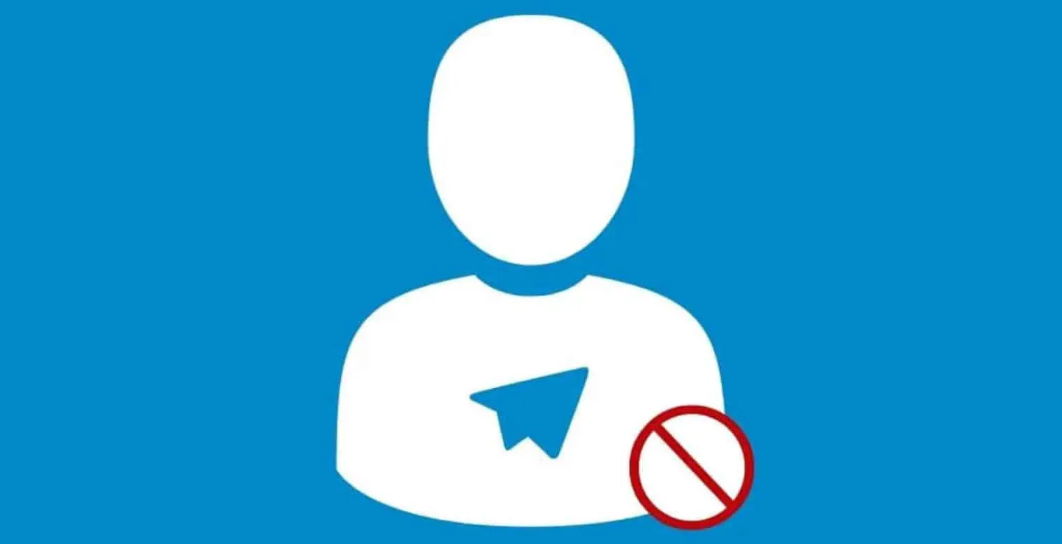텔레그램 공식 웹사이트에서 페이퍼 플레인 계정 상태를 어떻게 확인하나요?